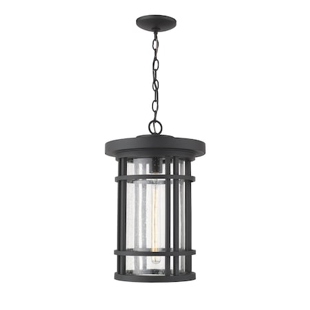 Z-Lite Jordan 1 Light Outdoor Chain Mount Ceiling Fixture, Black And Clear Seedy 570CHXL-BK
